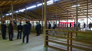 completioncowbreeding