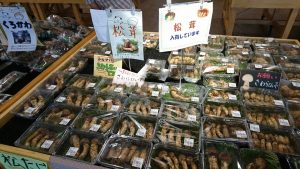 matsutakemashroom