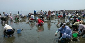 shellfish