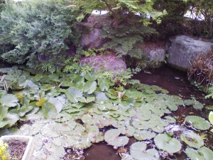 20090613062552